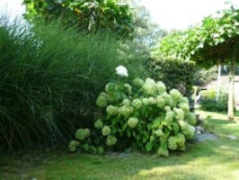 vakantiewoning  klockhuus